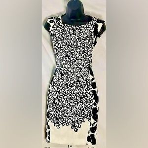 Elegant French Connection Dress